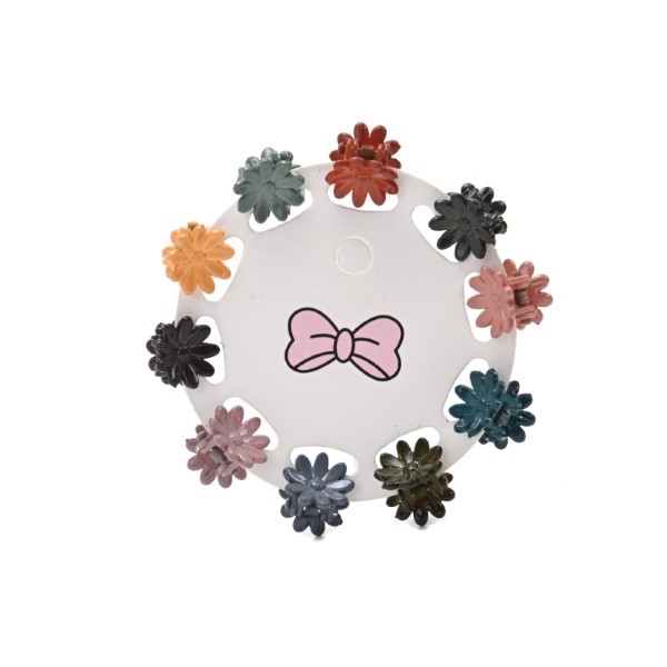Broches de pelo, carton por 10 unid